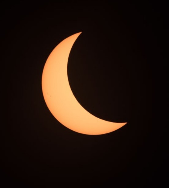 close-up single telephoto image