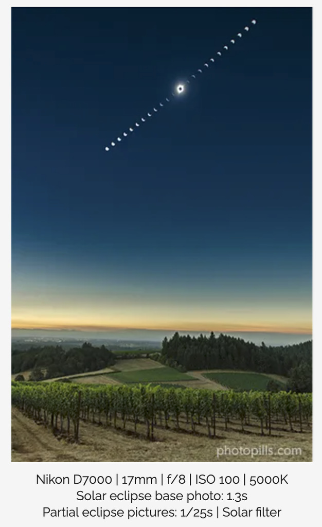 multi-photo composite