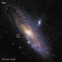 M31