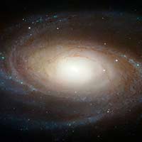 M81