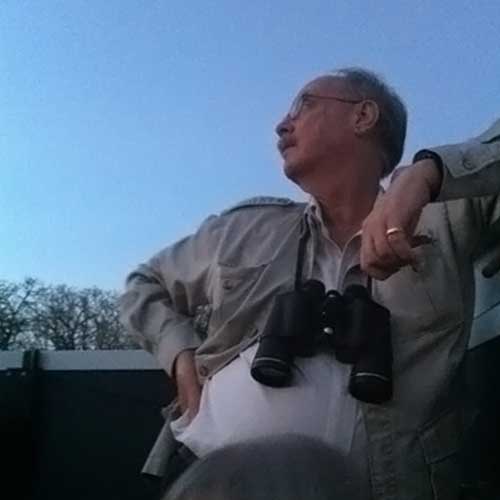 waiting for stars to appear