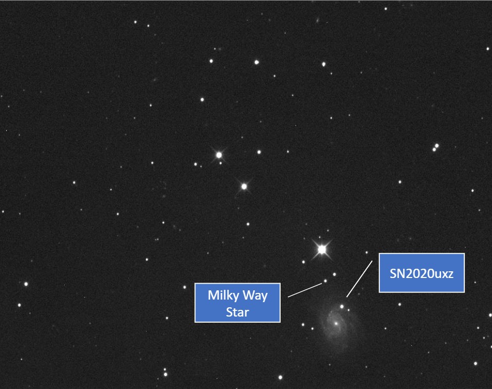 compare brightness of supernova to a Milky Way star