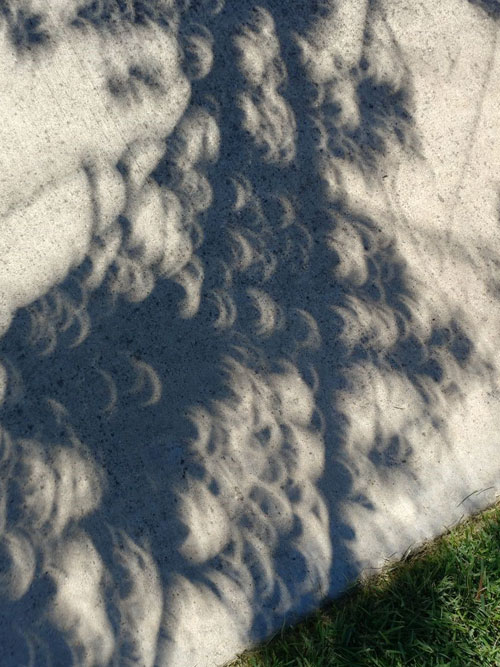 sidewalk display of annular solar eclipse