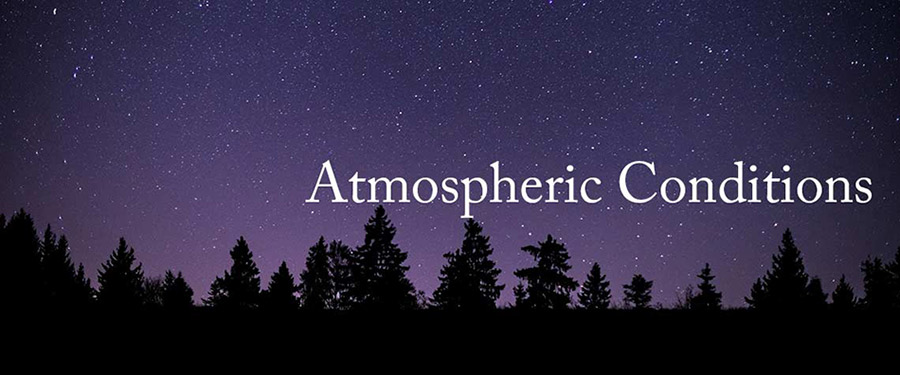 night sky with trees in background and clear sky