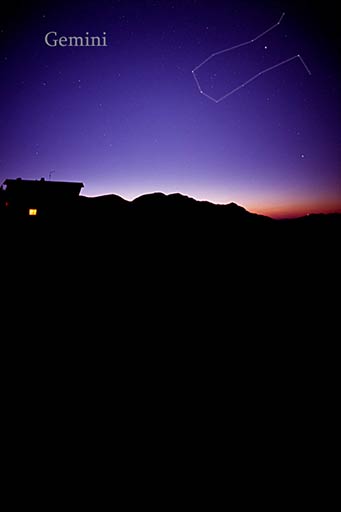 Gemini