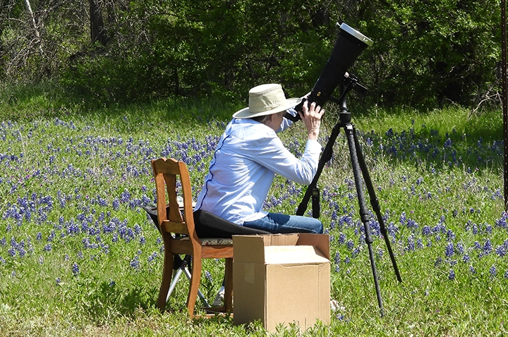 Ginger taking photos of eclipse in patch of bluebonnets