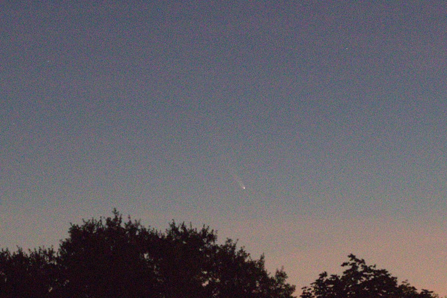 Comet NEOWISE taken by Warren Bracewell
