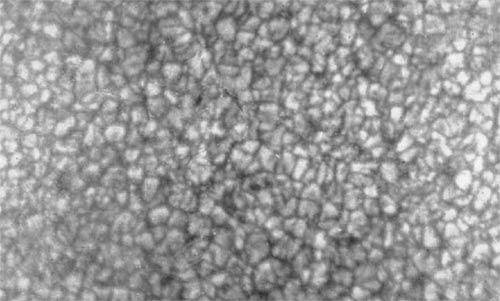 granular surface of the sun